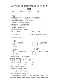 2023年广东省深圳市福田区深圳实验学校初中部中考三模化学试题（含解析）