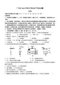 2023年四川省广安市中考化学真题(无答案)