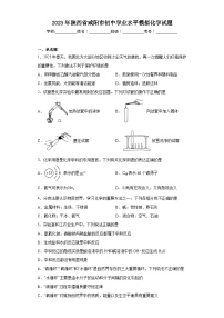 2023年陕西省咸阳市初中学业水平模拟化学试题（含解析）