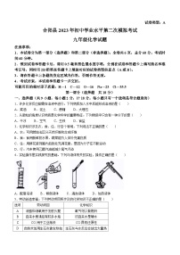 2023年陕西省渭南市合阳县中考二模化学试题（含答案）