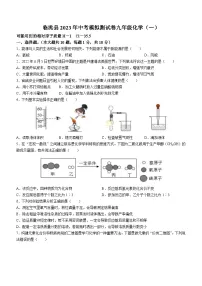 2023年甘肃省定西市临洮县中考一模化学试题（含答案）