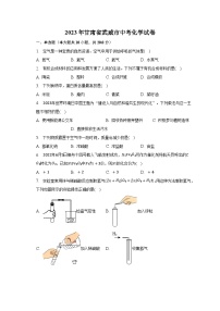 2023年甘肃省武威市中考化学试卷及答案解析