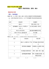 专题04 物质的检验、鉴别、除杂-挑战2023年中考化学压轴题之秘籍（原卷版）