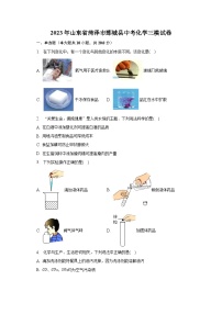 2023年山东省菏泽市鄄城县中考化学三模试卷（含解析）