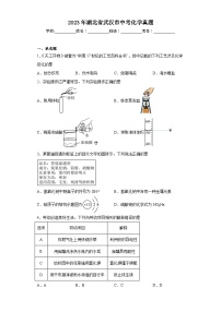 2023年湖北省武汉市中考化学真题（含答案）