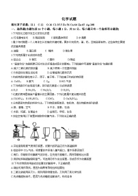 2023年河南省郑州市外国语学中学模拟化学试题（含答案）