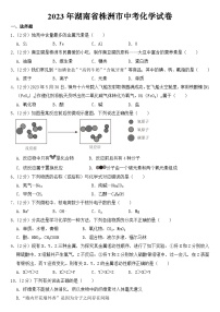 2023年湖南省株洲市中考化学试卷【含答案】