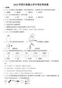 2023年四川省眉山市中考化学试卷【含答案】