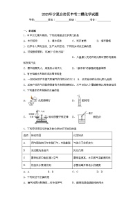 2023年宁夏自治区中考二模化学试题(含解析)
