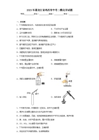 2023年黑龙江省鸡西市中考二模化学试题（含解析）