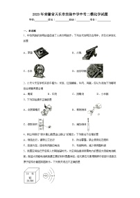 2023年安徽省天长市实验中学中考二模化学试题（含解析）