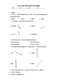 2023年四川省宜宾市中考化学真题(含解析)