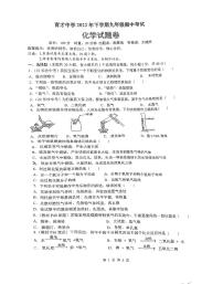 育才中学2022年下学期九年级期中考试化学试题卷（无答案）