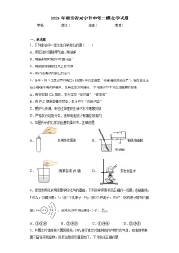 2023年湖北省咸宁市中考二模化学试题（含答案）