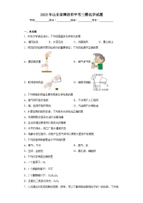 2023年山东省潍坊市中考三模化学试题（含答案）