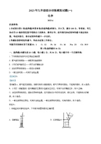 精品解析：2023年山东省临沂市平邑县中考一模化学试题（解析版）