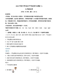 精品解析：2023年山东省潍坊市临朐县等八县市中考二模化学试题（解析版）