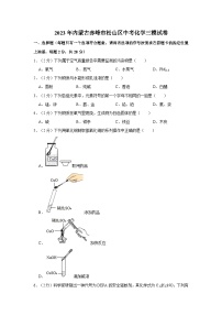 2023年内蒙古赤峰市松山区中考化学三模试卷