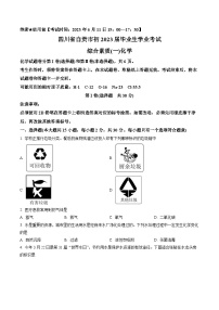 2023年四川省自贡市中考化学真题（含答案）