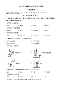 2023年云南省中考化学真题（含答案）