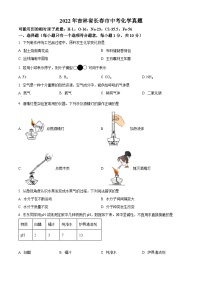 2022年吉林省长春市中考化学真题（原卷版）