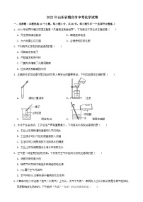 2022年山东省烟台市中考化学真题