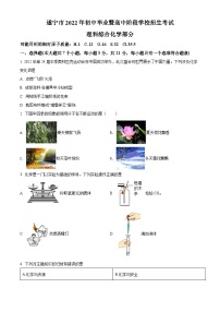 2022年四川省遂宁市中考化学真题（原卷版）