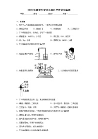 2023年黑龙江省龙东地区中考化学真题（含答案）