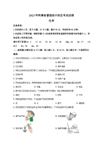 2023年河南省中考化学试卷（含解析）