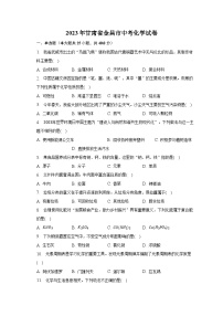 2023年甘肃省金昌市中考化学试卷（含解析）