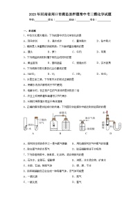 2023年河南省周口市鹿邑县押题卷中考三模化学试题（含答案）