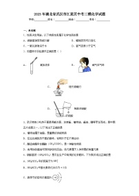 2023年湖北省武汉市江夏区中考三模化学试题（含答案）