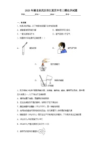 2023年湖北省武汉市江夏区中考三模化学试题（含解析）