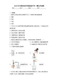 2023年甘肃省定西市临洮县中考一模化学试题（含解析）