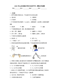 2023年山东省临沂市沂水县中考二模化学试题（含解析）