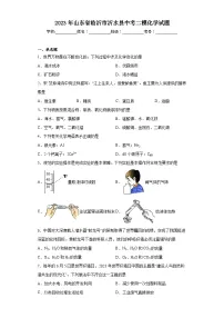 2023年山东省临沂市沂水县中考二模化学试题(含解析)
