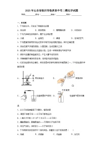 2023年山东省临沂市临沭县中考二模化学试题（含解析）