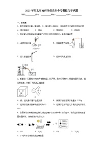 2023年河北省沧州市任丘市中考模拟化学试题（含解析）