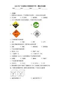 2023年广东省阳江市阳春市中考一模化学试题（含解析）