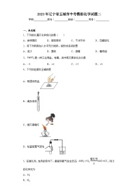 2023年辽宁省五城市中考模拟化学试题二（含解析）