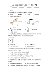 2023年江西省吉安市吉安县中考一模化学试题（含解析）