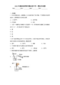 2023年湖南省邵阳市隆回县中考一模化学试题（含解析）