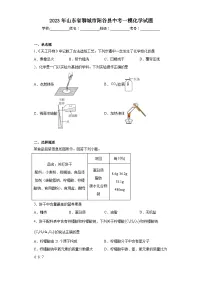 2023年山东省聊城市阳谷县中考一模化学试题（含解析）