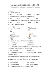 2023年吉林省松原市前郭县三校中考二模化学试题（含解析）