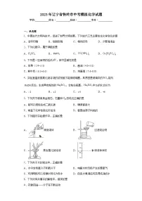 2023年辽宁省铁岭市中考模拟化学试题(含解析)