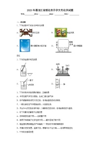 2023年黑龙江省绥化市升学大考化学试题（含解析）