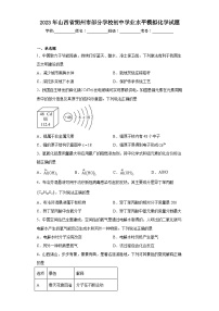 2023年山西省朔州市部分学校初中学业水平模拟化学试题（含解析）