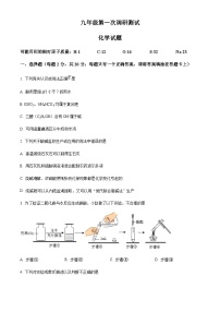 2023年江苏省徐州市沛县中考第一次调研测试化学试题