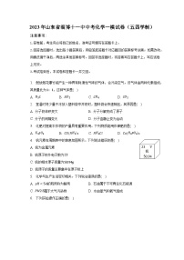 2023年山东省淄博十一中中考化学一模试卷（五四学制）（含解析）