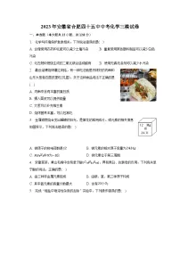 2023年安徽省合肥四十五中中考化学三模试卷(含解析)